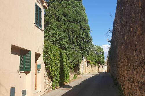 L' Antica Oliviera D'Orcia