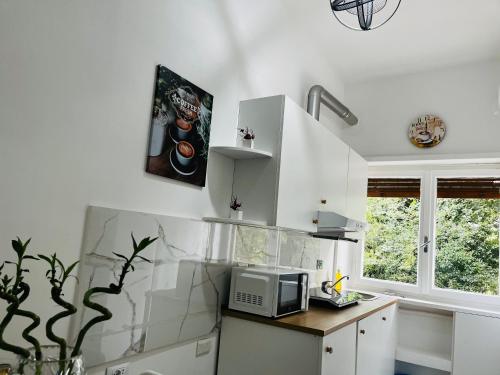 Suite San Damaso, Rome (photo 10)