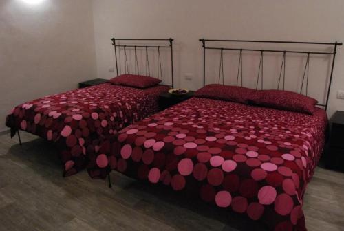 Guest House Zefiro, Florencie (fotografie 8)
