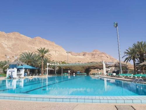 Swimming pool, Zehava's Zimmer in Ein Gedi
