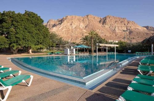 Swimming pool, Zehava's Zimmer in Ein Gedi