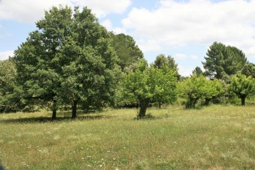 Gîte cévenol pleine nature tout confort