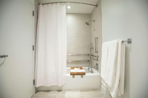 Canopy By Hilton Dallas Uptown - image 3