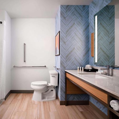 Hilton Garden Inn Grapevine At Silverlake Crossing Tx - image 11