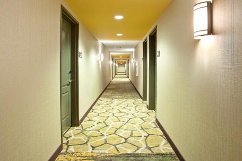 Hampton Inn By Hilton & Suites Minneapolis/Downtown