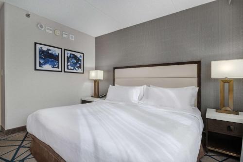 Embassy Suites by Hilton Seattle Bellevue - image 11