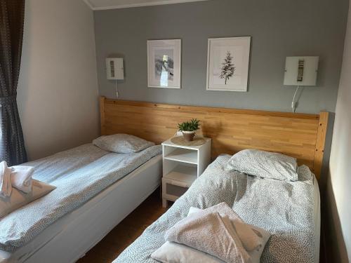 Tärnaby Rooms & Apartments