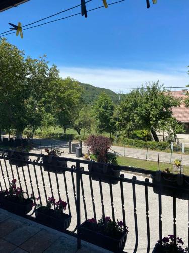 Apartman Lavanda in Drvar