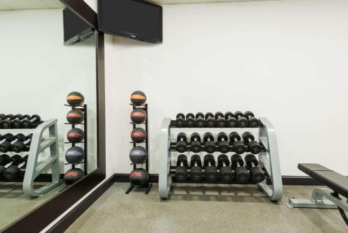 Homewood Suites by Hilton Holyoke-Springfield/North - image 6