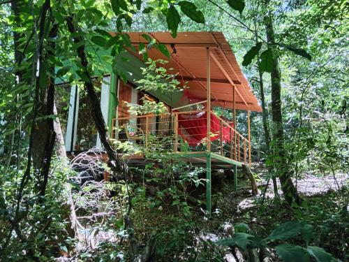 Jungle Living Tree Houses