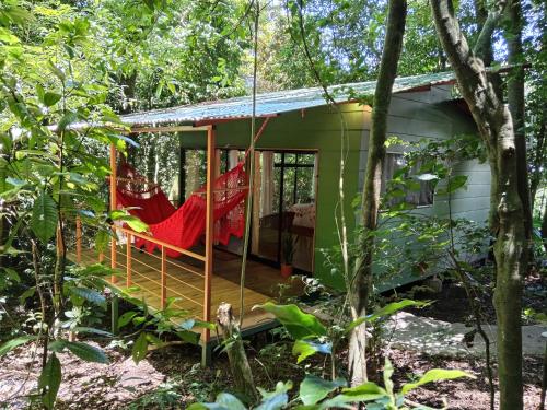 Jungle Living Tree Houses