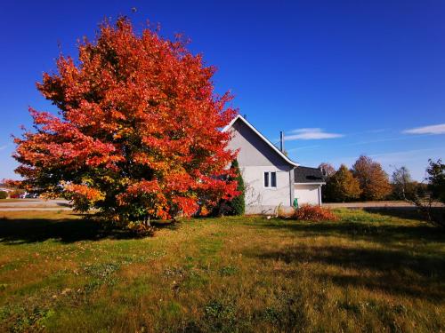 Kilátás, Jolie maison sur notre ranch in Sacré-Coeur (QC)