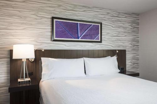 Hilton Garden Inn Ottawa Downtown - image 3