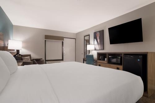 1 king bed, 1 sofa bed