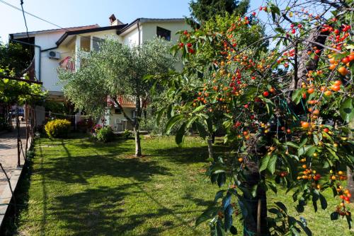 حديقة, Apartments Milica in آومجا