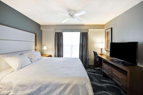 Homewood Suites by Hilton Phoenix-Biltmore - image 10