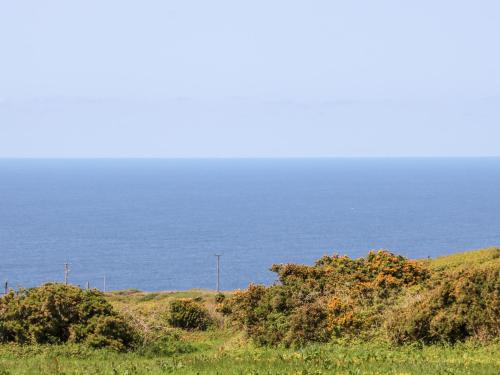 Boslow - image 9