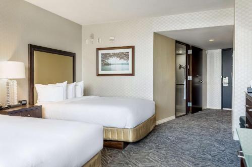 华盛顿希尔顿酒店 华盛顿希尔顿酒店