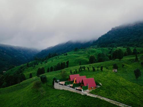 B&B Çamlıhemşin - Yerumoni bungalov - Bed and Breakfast Çamlıhemşin