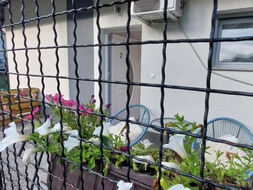 Apartments Window - image 4