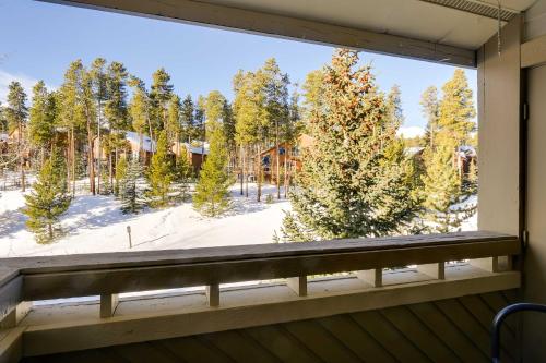 Chic Breck Condo Ski-In and Ski-Out at Peak 8! - image 8