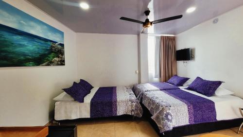Hotel Olas