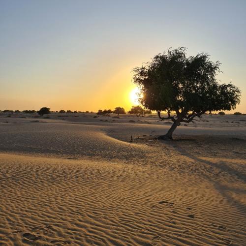 Bidiyah Domes in A'Sharqiyah Sands (Wahiba)