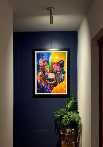 บริการและสิ่งอำนวยความสะดวก, Hostel Auikyani in โคซูเมล