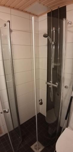 Apartment with sauna near the center, Helsinki (foto 2)