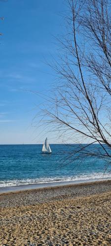 B&B Villeneuve-Loubet - Villa Ange Azur 2 - Bed and Breakfast Villeneuve-Loubet