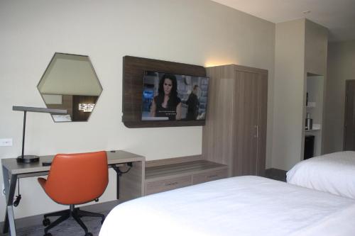 Holiday Inn Express Hotel & Suites Shamrock North an IHG Hotel - image 7