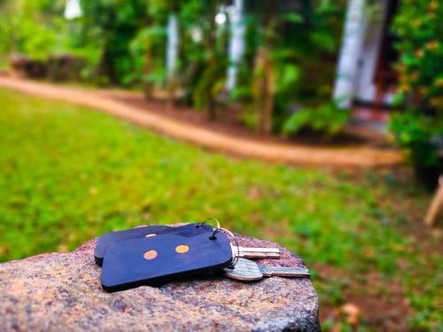 Woodholic Homestay - image 2