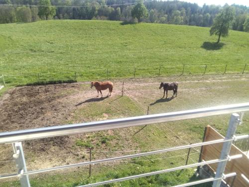Wohnung mit Ausblick, Ravensburg (foto 8)