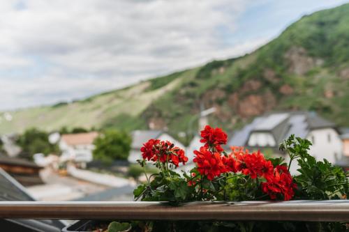 Wein- und Gästehaus Schwaab&Sohn