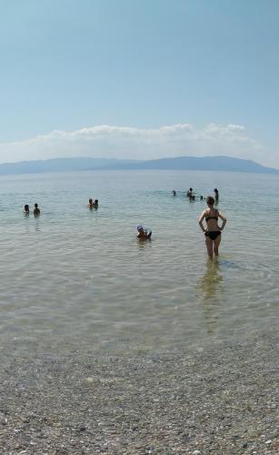 Central Luxury Apartment next to the Beach