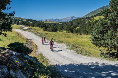  Apartamentos Deth Camin Reiau in Arties