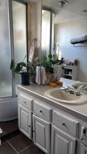 Dušas, Habitaciones Frente Club Tenis in Kočabamba