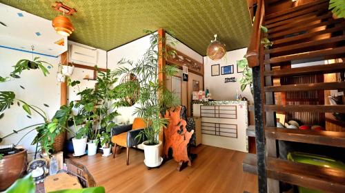 Hostel Caranashi