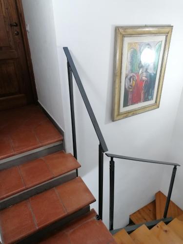 Oberdan's paradise LT