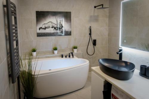 Stylish apartment in the heart of Tallinn, Tallin (foto 9)