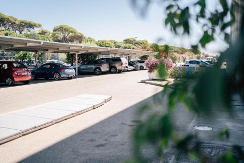 Hotel Puerto Sherry - image 8