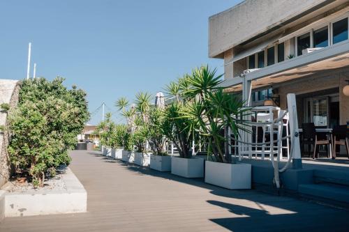 Hotel Puerto Sherry - image 5