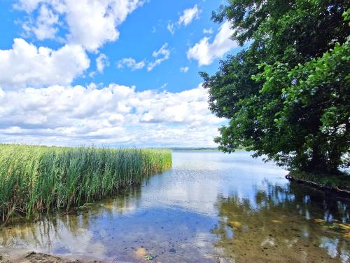 Ferienhaus in Wustrow am Tollensesee SEE 11401