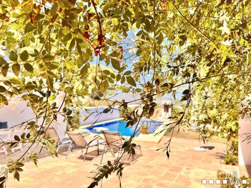 VH CostaBlanca - MARIPOSA - main image