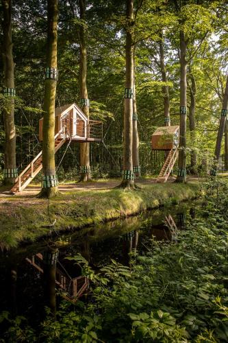 Treehouse 'Morgenrood' Ryckevelde 1451