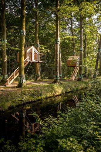 Treehouse 'Morgenrood' Ryckevelde 1451 gîte à louer Sijseleveld