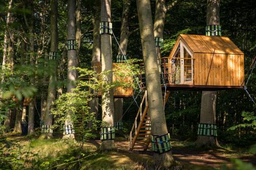 Treehouse 'Morgenrood' Ryckevelde 1451