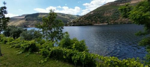 Douro Feels Like Home