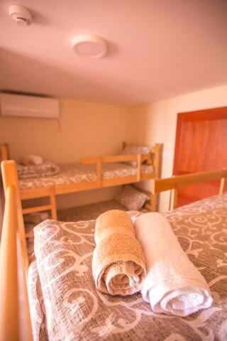 Green House Hostel photo
