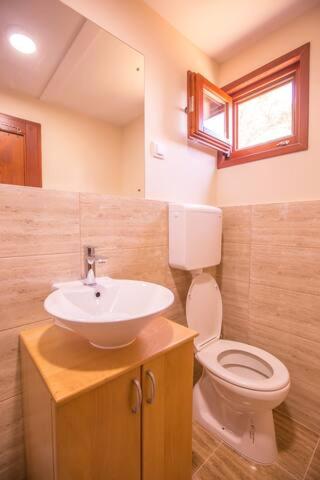 Green House Hostel photo